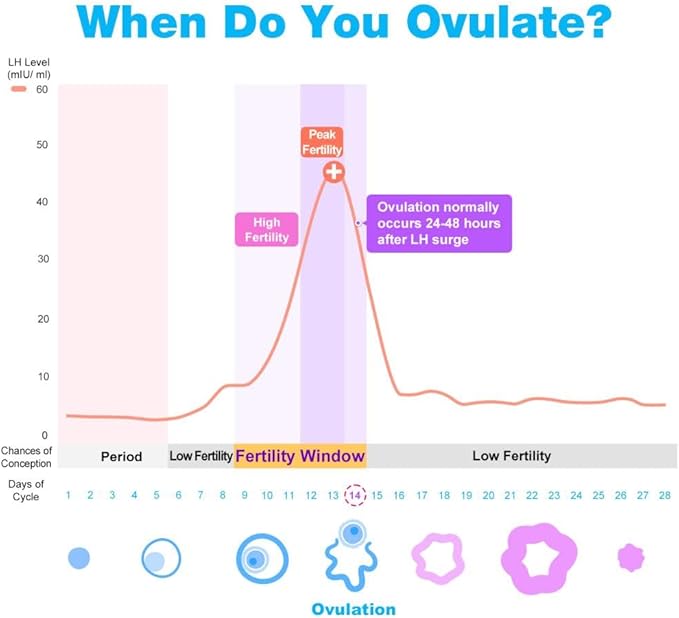 Easy@Home Ovulation Test Strips: Accurate 30 LH Ovulation Predictor Kit - Fertility Tests for Women – Powered by Premom Ovulation Tracker App | 30 LH + 30 Urine Cups