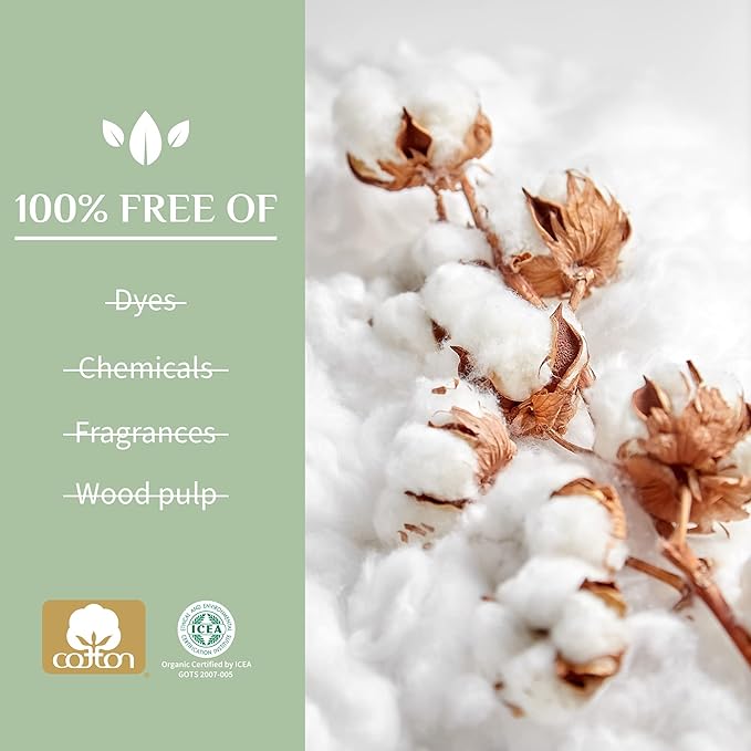 Organyc 100% Certified Organic Cotton Inside and Out Folded Panty Liner, Ultra Thin, Light Flow, 24 Count